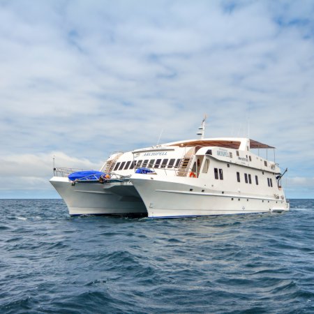 Archipel I 450 - Galapagos Islands Cruise