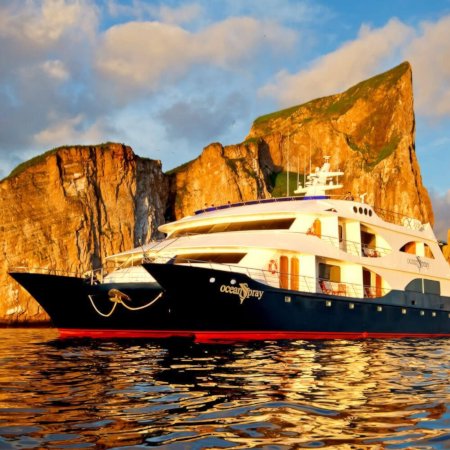 Ocean Spray 450 - Birdwatching Galapagos Cruises Galapagos Islands Cruise
