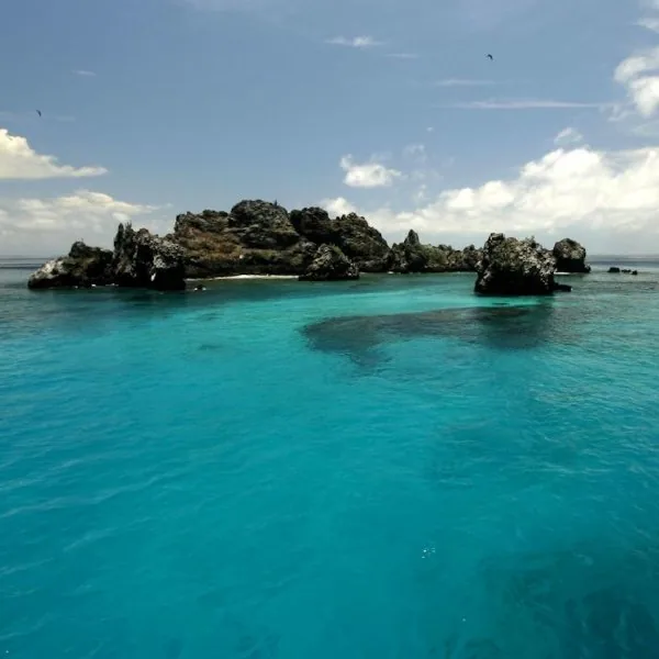 Itinerario de 7 días en Galápagos: por tierra o con crucero