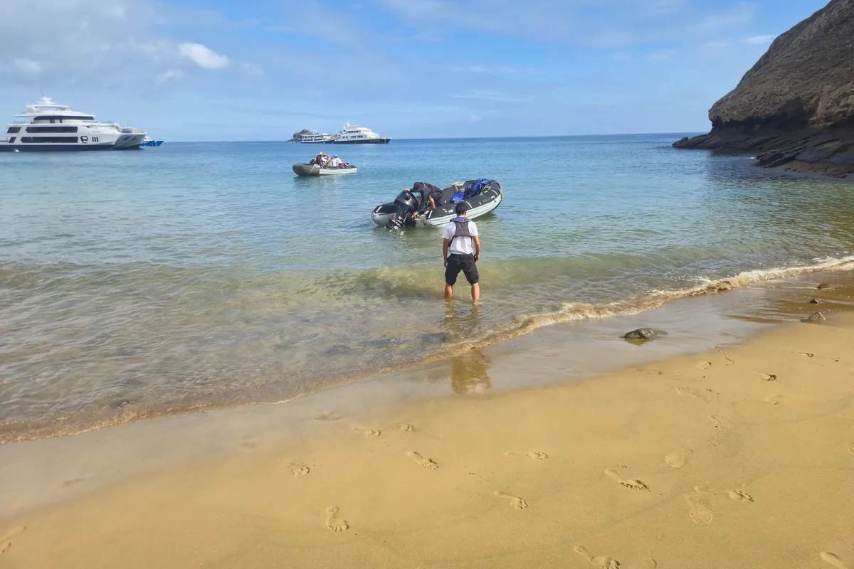 What Is a Galápagos Cruise Like? A Day on Board