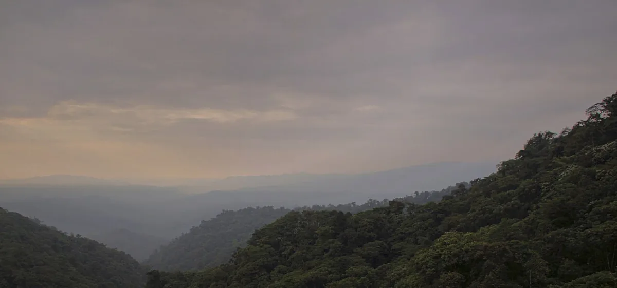 Mindo Cloud Forest at 1,300 metres, the relief after Quito's altitude