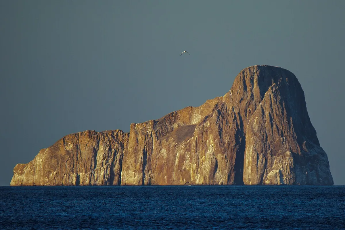 Galápagos Cruise Itineraries Explained: Routes and Islands