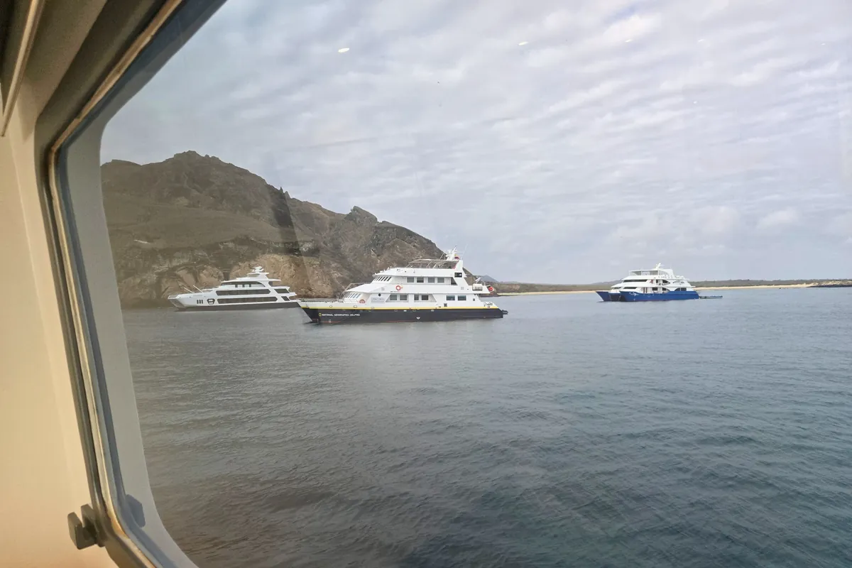 Camarotes de crucero en Galápagos: individual, triple, suite