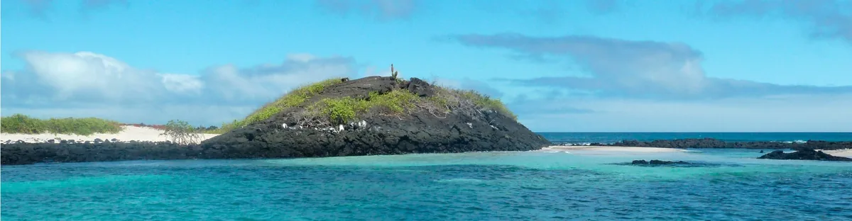 Galápagos en septiembre: el mes más tranquilo del año