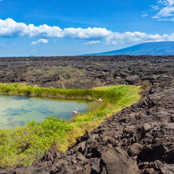 Galápagos National Park Rules: The 17 Official Visitor Rules