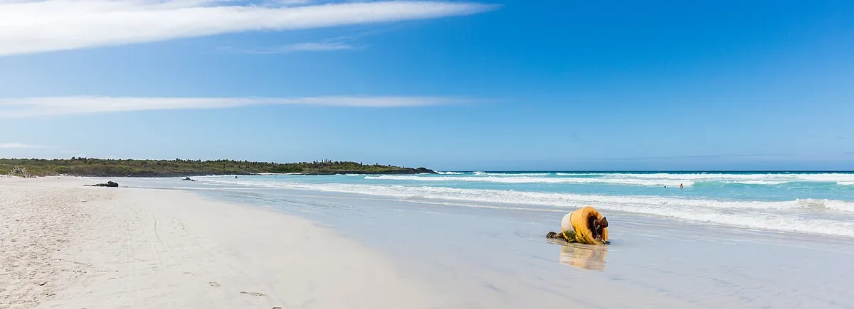 Garrapatero: 1.5 km of sand, a flamingo lagoon and no ticket