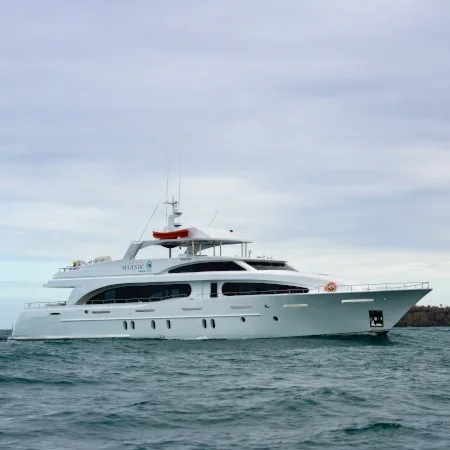 Last-Minute Galápagos Cruises: How the Deals Really Work