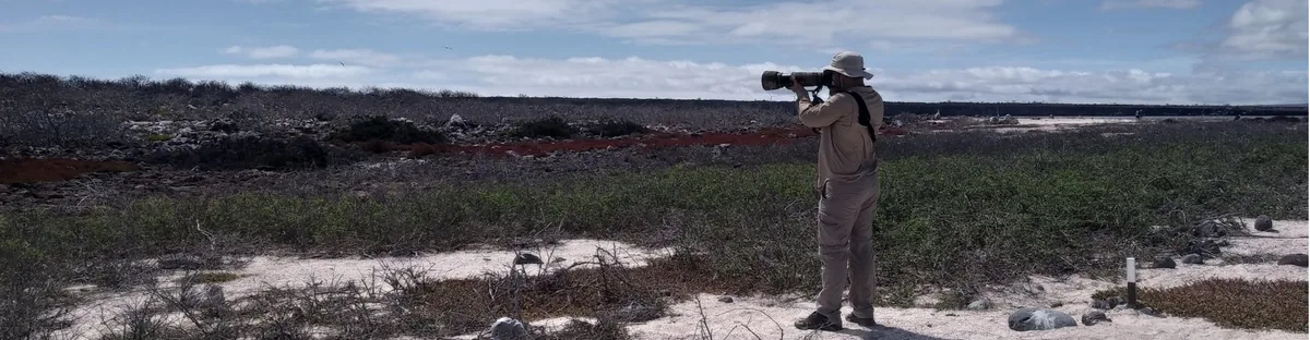 Isla Seymour Norte: piqueros, fragatas y tours de un día