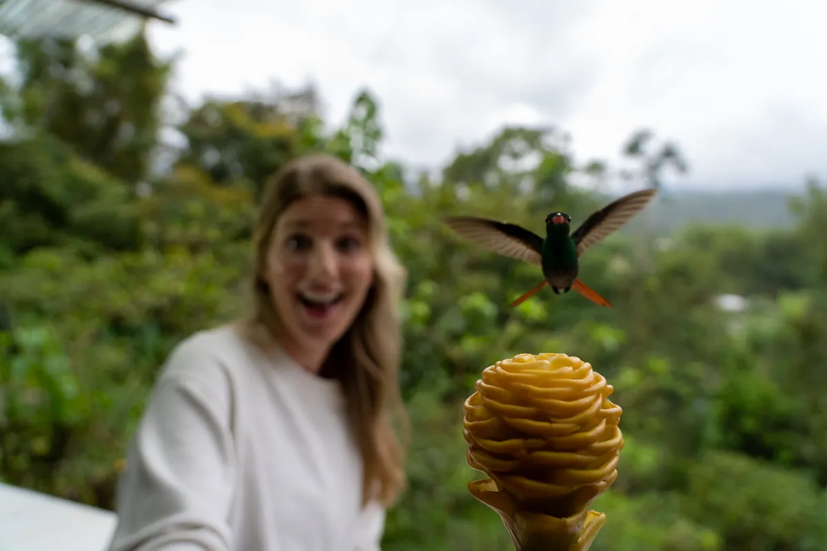 Quito and Mindo Before Your Galápagos Cruise: A 3-Day Plan