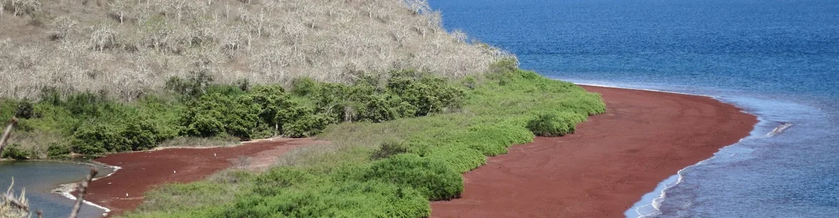 Isla Rábida: arena roja, lagunas saladas y snorkel