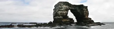 Darwin and Wolf Islands, Galápagos: The Dive-Only Islands at the Top