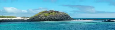 Floreana Island, Galápagos: Pirates, Postcards, and Post Office Bay