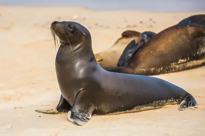 Galápagos Trip Cost: What a Trip Really Costs (2026)
