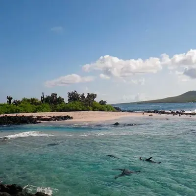 10 First-Timer Mistakes in Galápagos (and How to Avoid Them)
