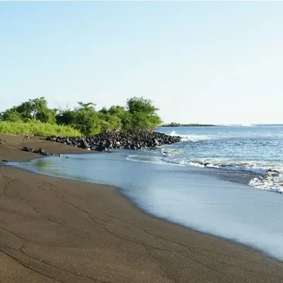 Galápagos Honeymoon Guide: Islands First, cloud forest After