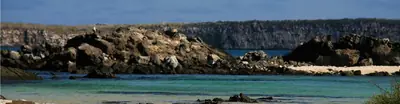 Galápagos in June: Garúa Season Starts, Cooler and Drier