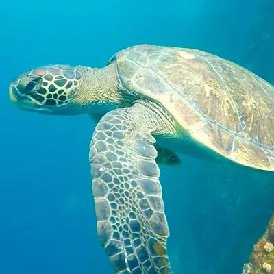 How Many Days in Galápagos? (5 vs 7 Days)