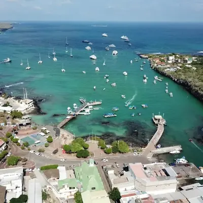 Puerto Ayora Guide: Base Camp of the Galápagos