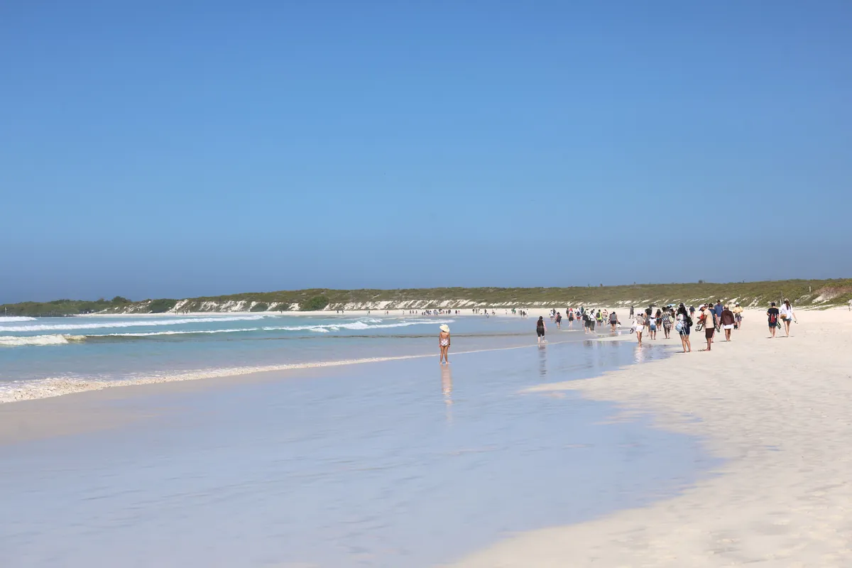 Tortuga Bay's Playa Brava is surf-only; swimmers use the lagoon