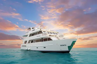 barco 19 400 - Dana Tours