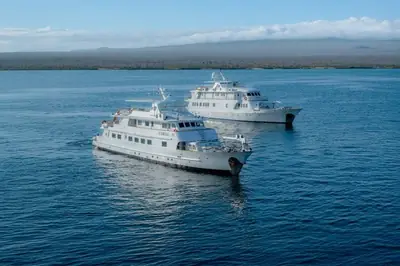 barco 31 400 - Dana Tours