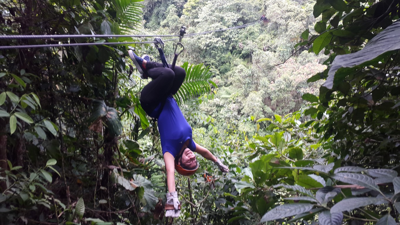 canopy rio medium