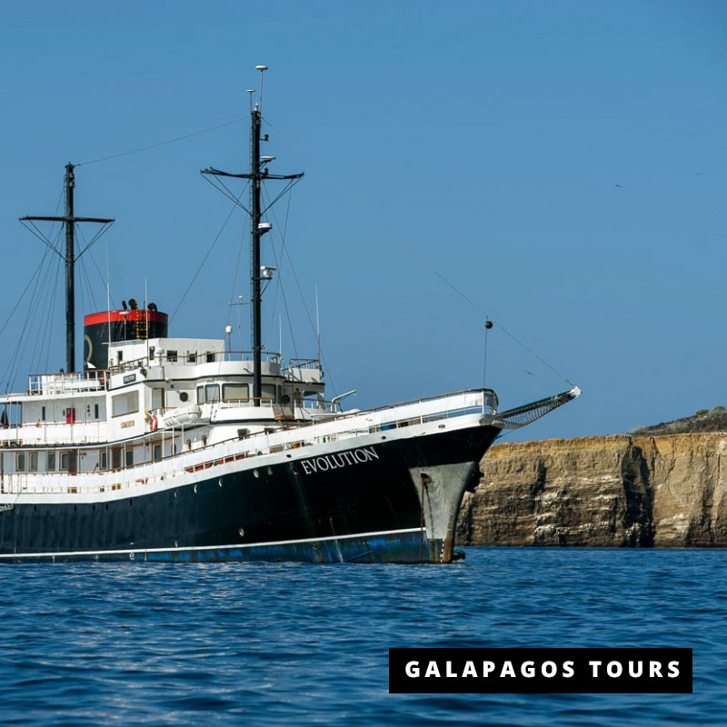 Galapagos Cruise Evolution
