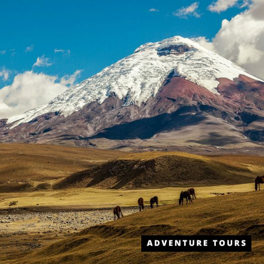 Cotopaxi Volcano National Park Full Day Tour