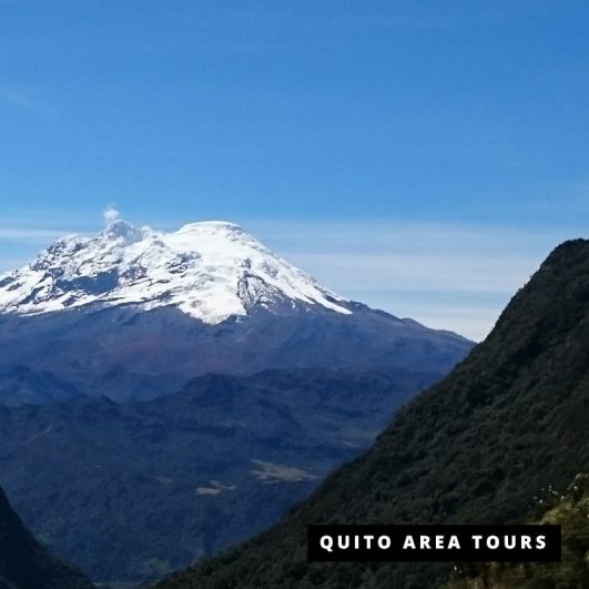 Antisana Volcano + Condor Watching