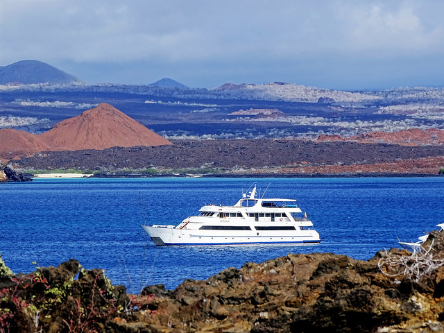 Sea Star Journey