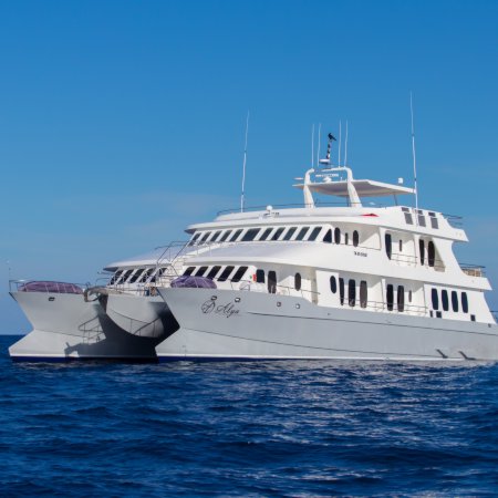 Alya Galapagos Catamaran