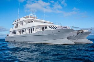 alya galapagos main - alya galapagos main -
