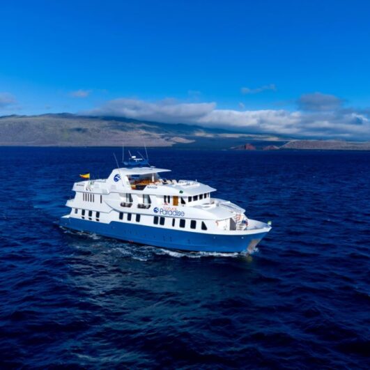 Natural Paradise Galapagos Yacht