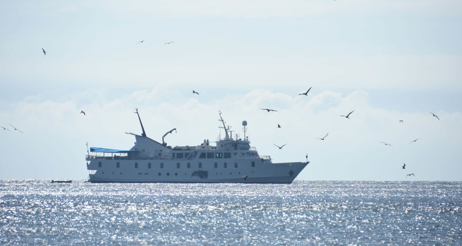 la pinta galapagos ship la pinta galapagos ship
