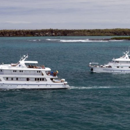 Coral 1 & 2 Galapagos Yachts