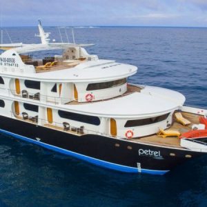 Petrel 450 -