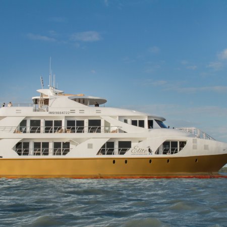 Elite Galapagos Catamaran