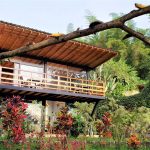Las Terrazas de Dana lodge image 4