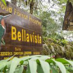 bellavista-reserve