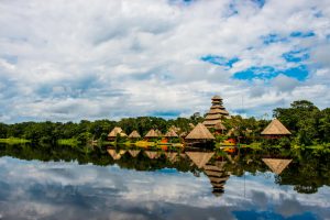 Napo Wildlife Center - Napo Wildlife Center -