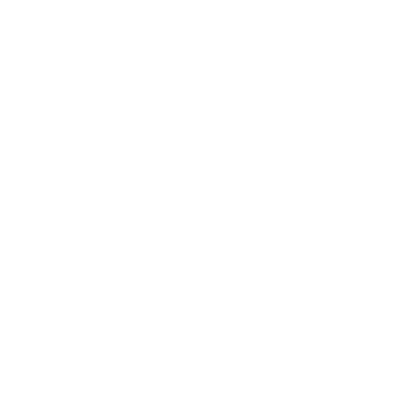 white-birds