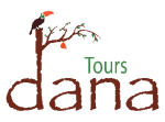 Dana Tours LLC