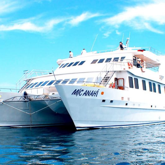 Anahi Galapagos Catamaran