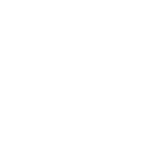 white birds 142 - white birds 142 -