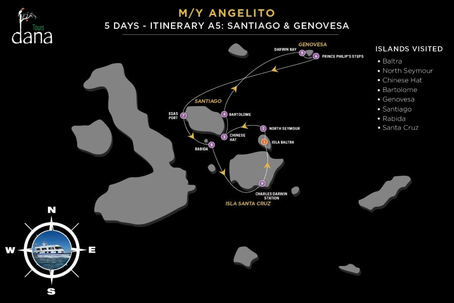 Angelito 5 Days - A5 Santiago & Genovesa