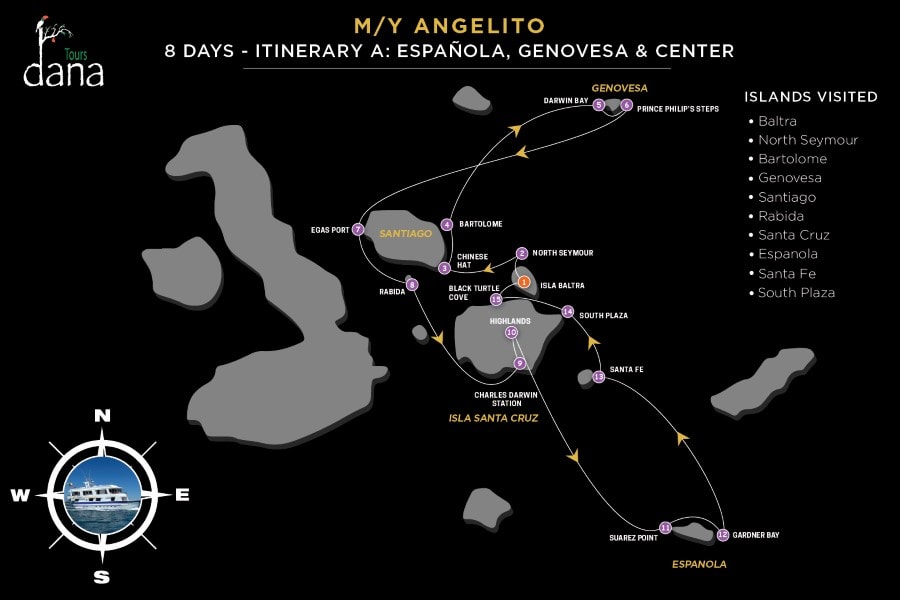Angelito 8 Days - A Española, Genovesa & Center