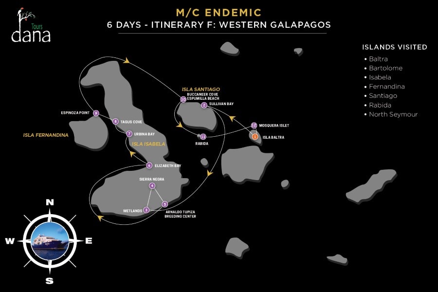 Endemic 6 Days - F Western Galapagos