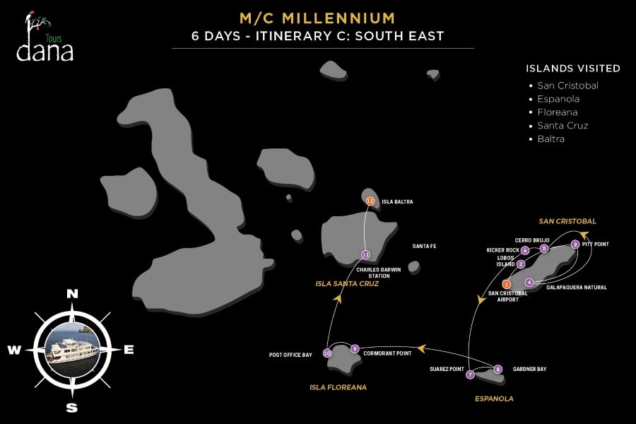 Millennium 6 Days - C South East