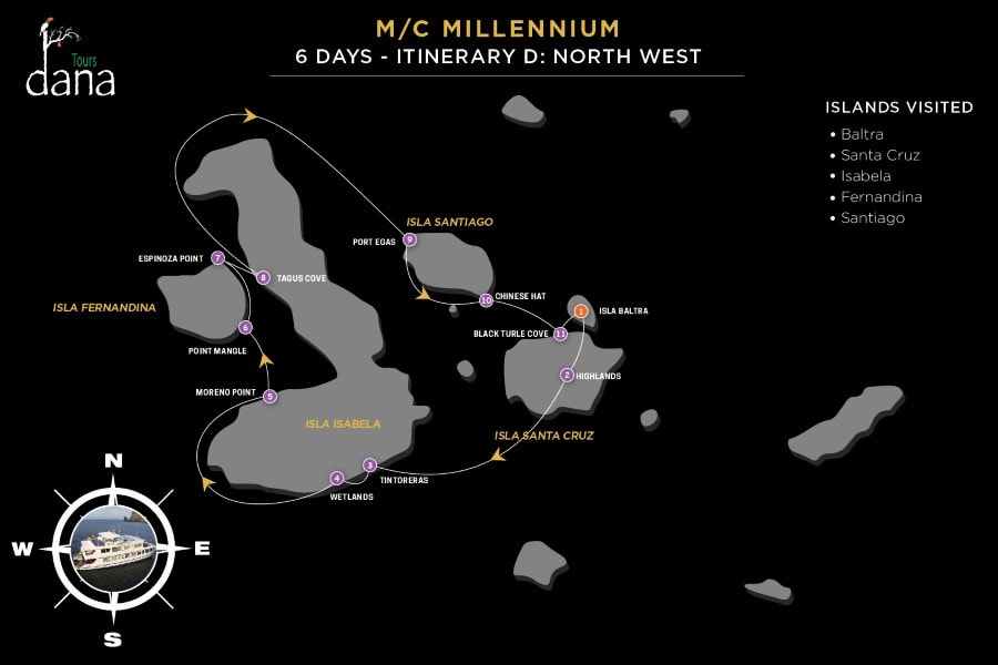 Millennium 6 Days - D North West