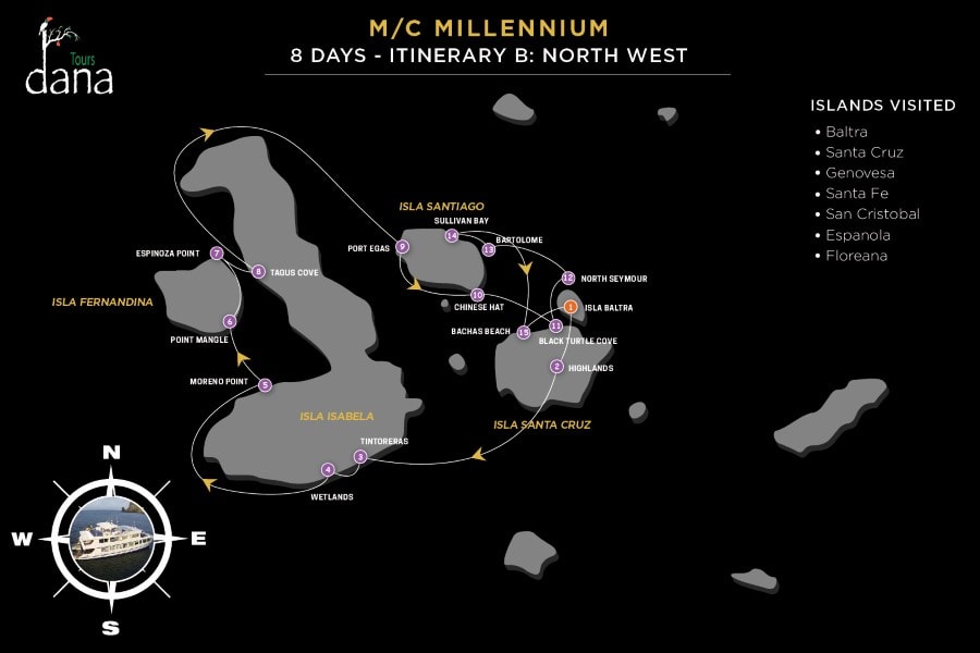 Millennium 8 Days - B North West